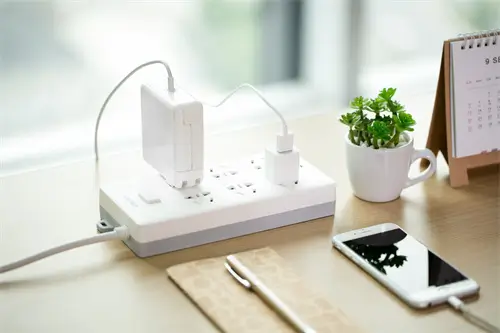 稻米代表什么含义